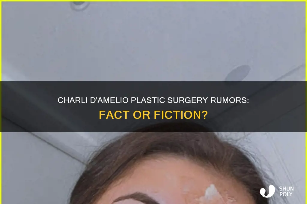 did charli damelio get plastic surgery