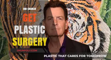 Charlie's Transformation: Uncovering the Truth About Plastic Surgery Rumors