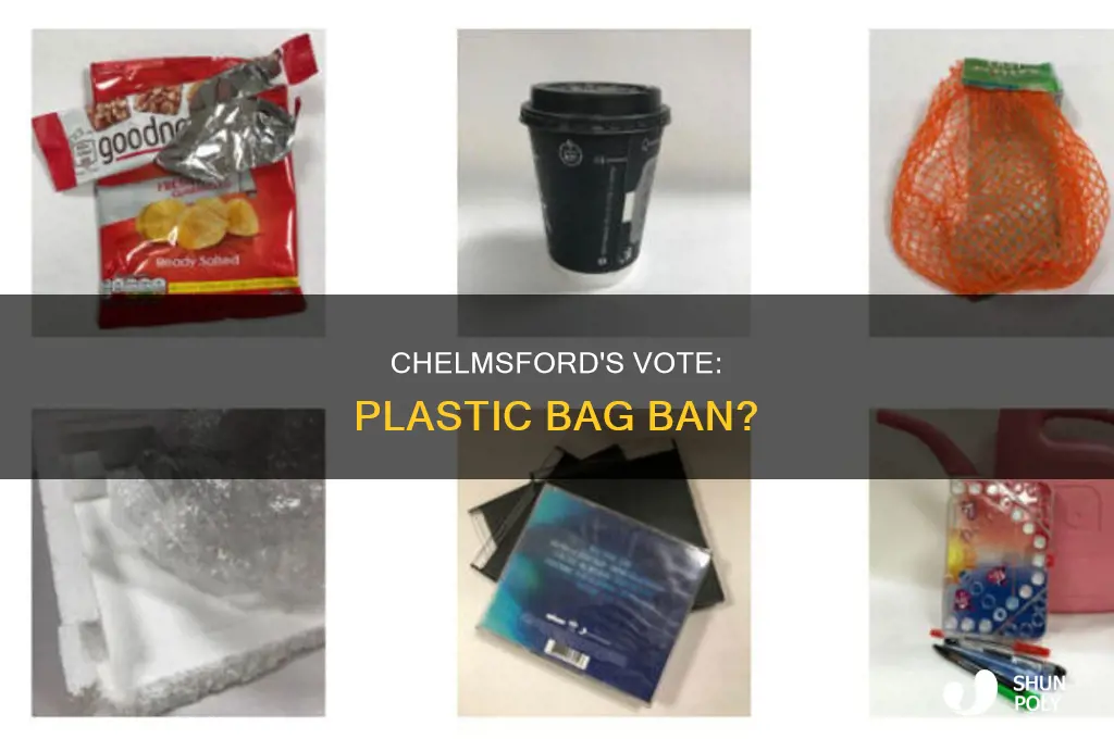 did chelmsford vote to ban plastic bags