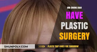 Cheng Xiao's Transformation: Plastic Surgery Rumors Explored and Debated