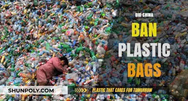 China's War on Plastic Bags