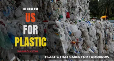 The Plastic Trade: China's Debt to the US