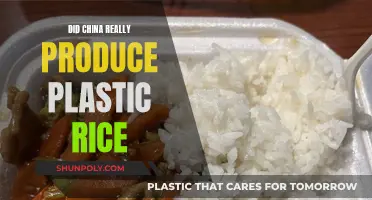 Plastic Rice: China's Food Fraud?