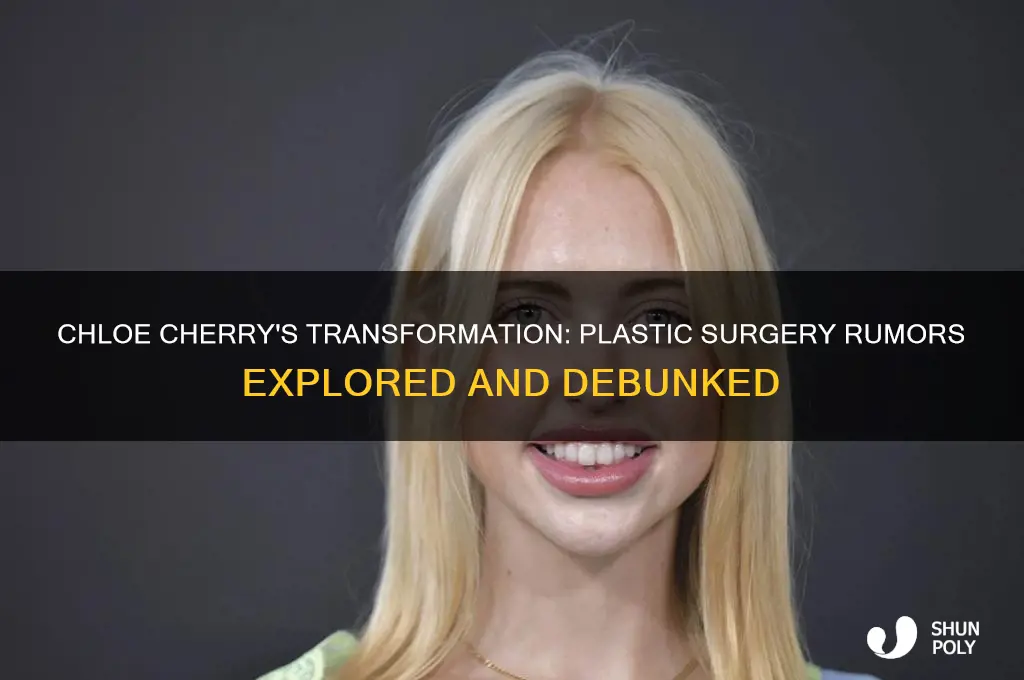 did chloe cherry get plastic surgery
