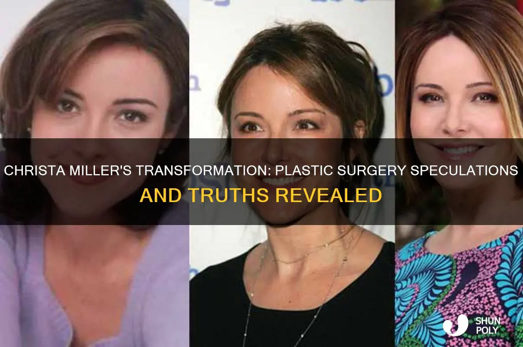 did christa miller have plastic surgery