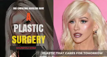 Christina Aguilera's Transformation: Plastic Surgery Rumors Explored