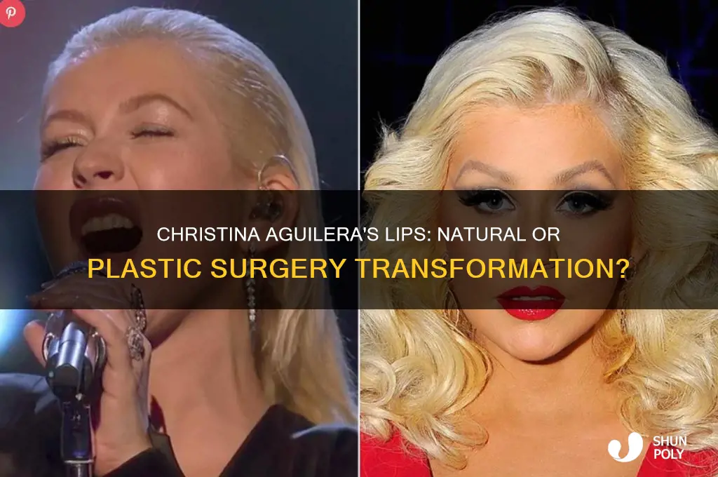 did christina aguilera have plastic surgery on her lips