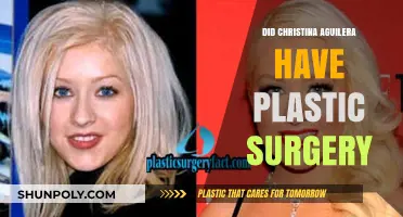 Christina Aguilera's Transformation: Plastic Surgery Rumors Explored