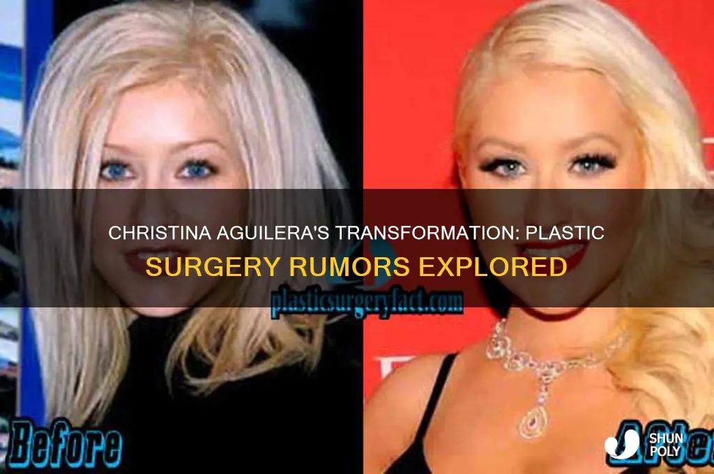 did christina aguilera have plastic surgery
