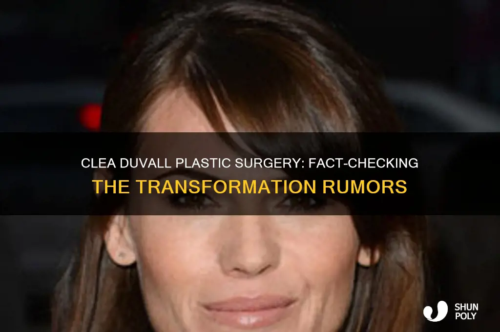 did clea duvall have plastic surgery