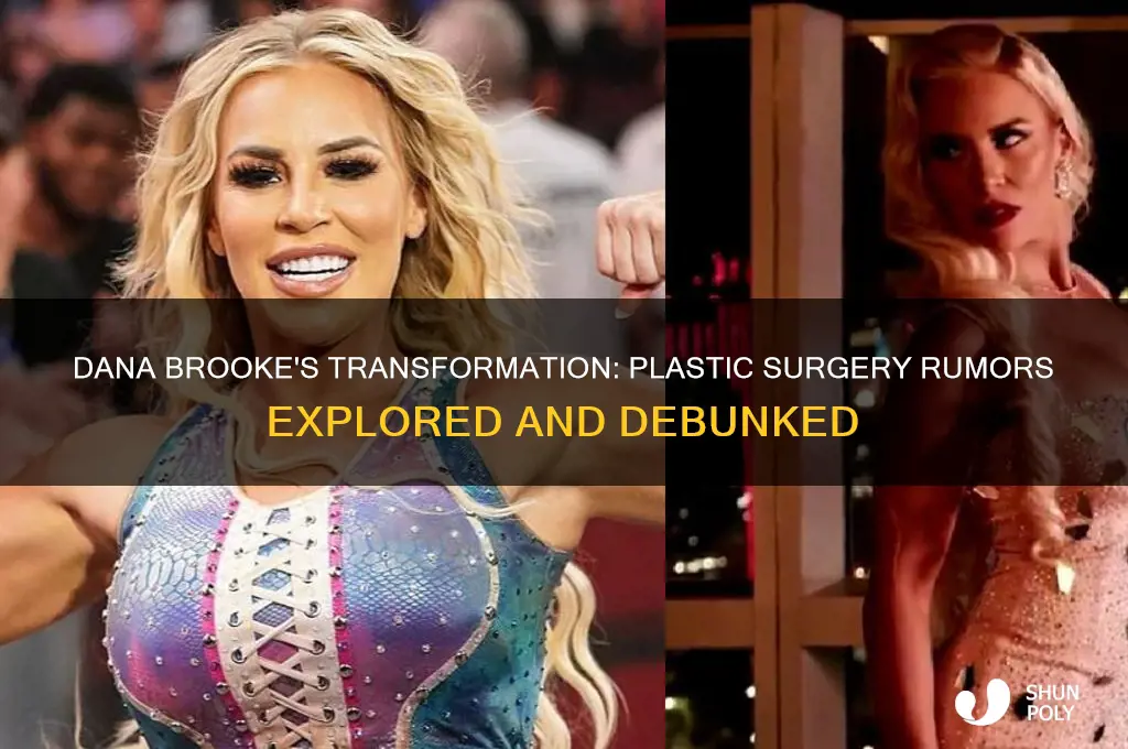 did dana brooke get plastic surgery