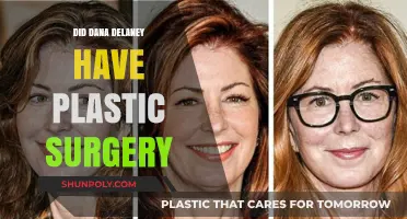 Dana Delaney's Transformation: Plastic Surgery Rumors and Reality Revealed