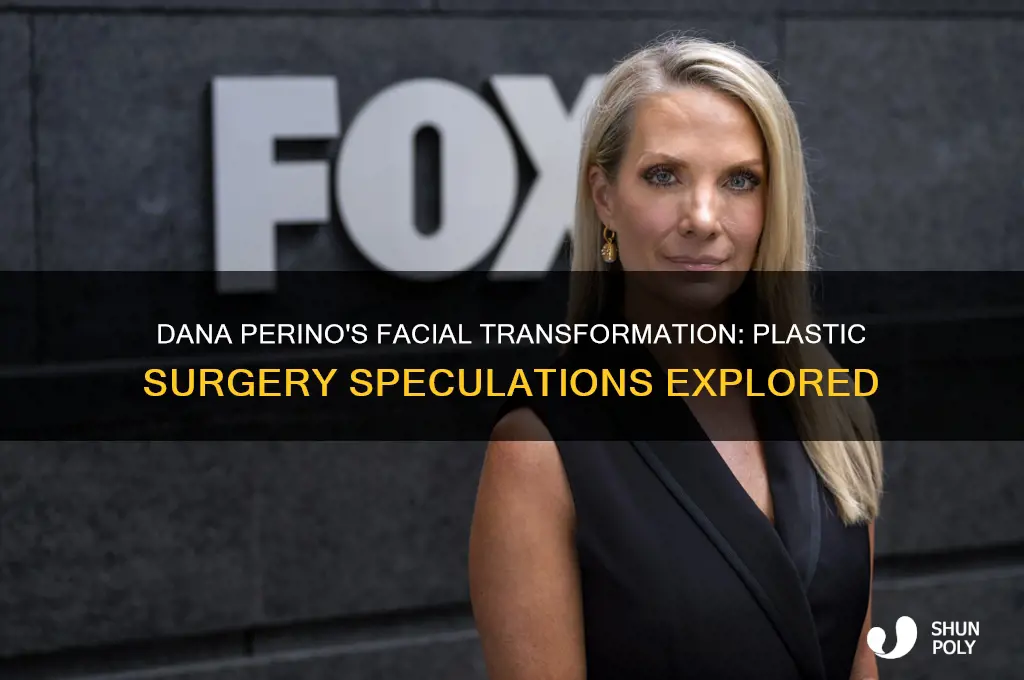 did dana perino have plastic surgery on her face