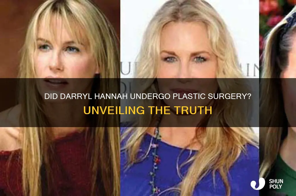 did darryl hannah have plastic surgery