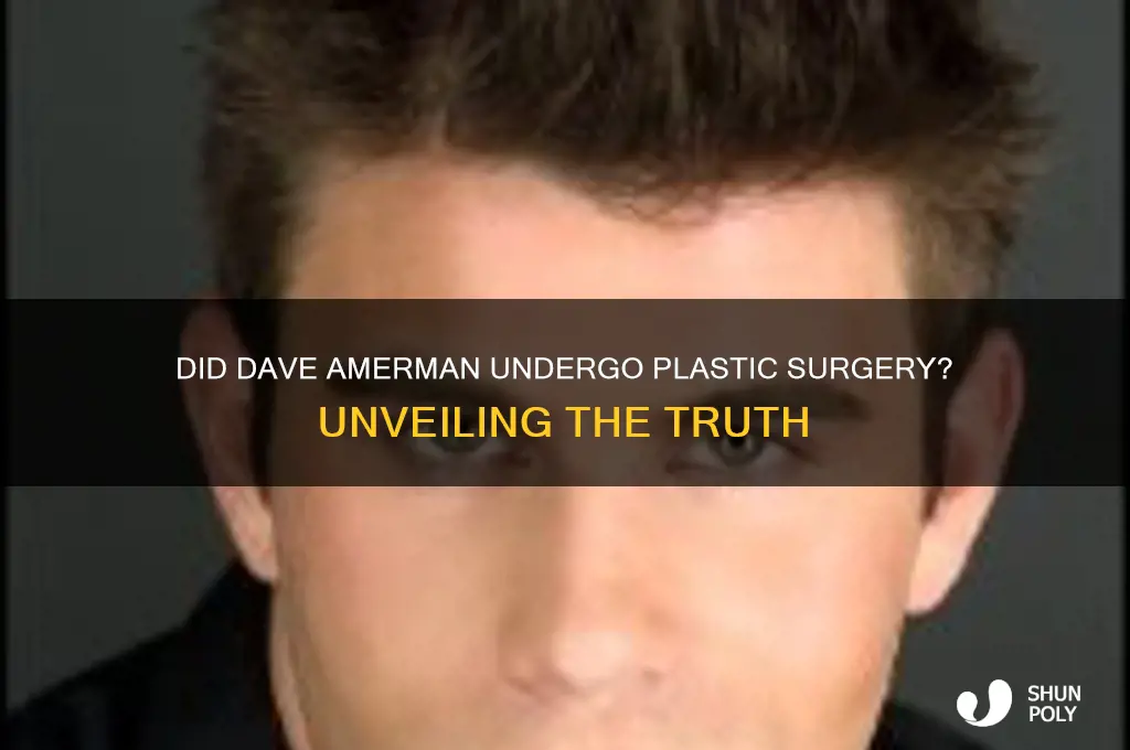 did dave amerman get plastic surgery
