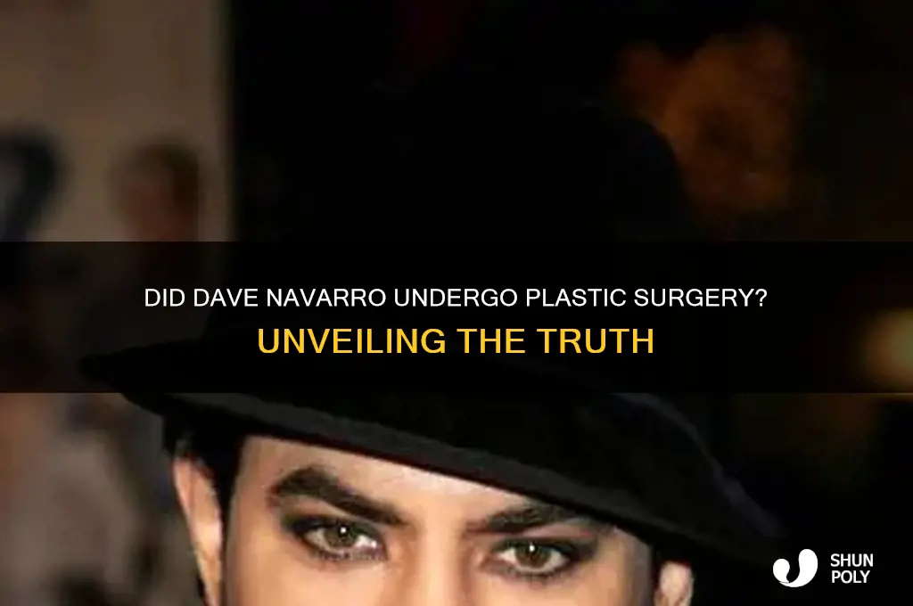 did dave navarro have plastic surgery