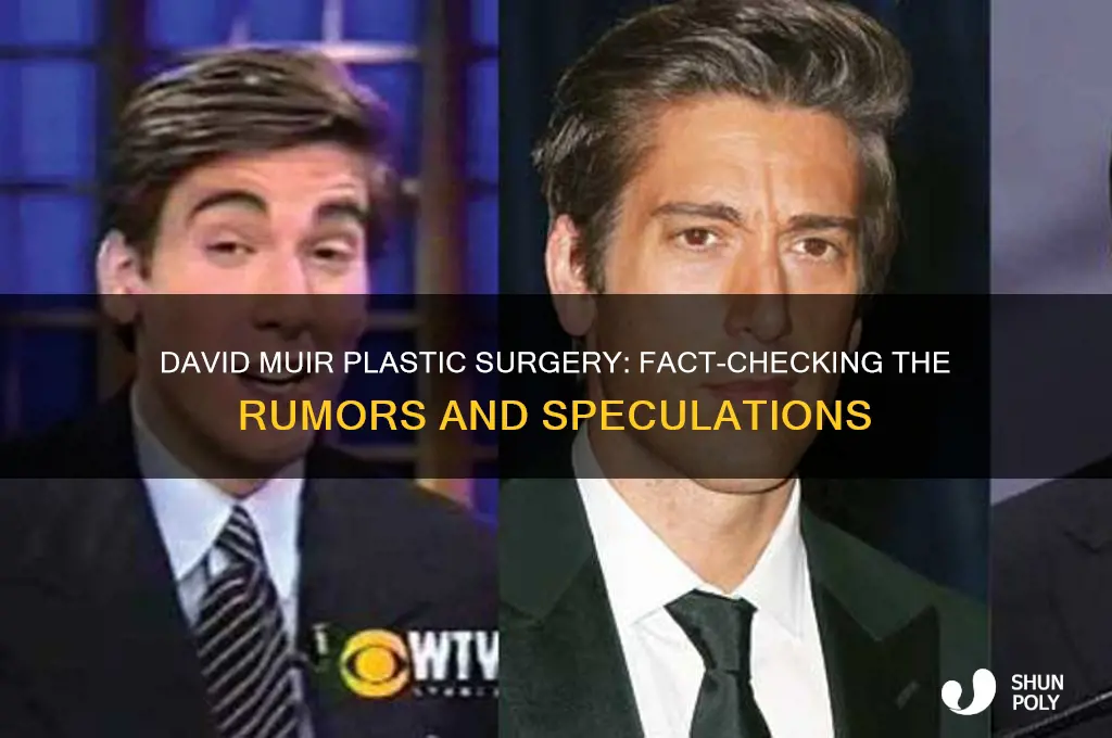 did david muir have plastic surgery