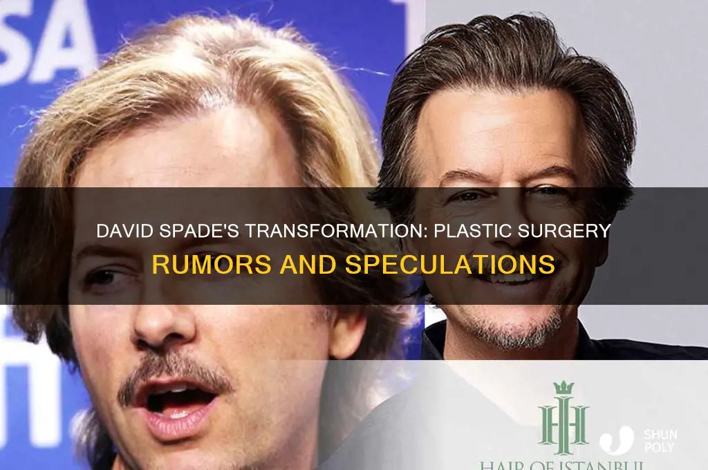 did david spade get plastic surgery