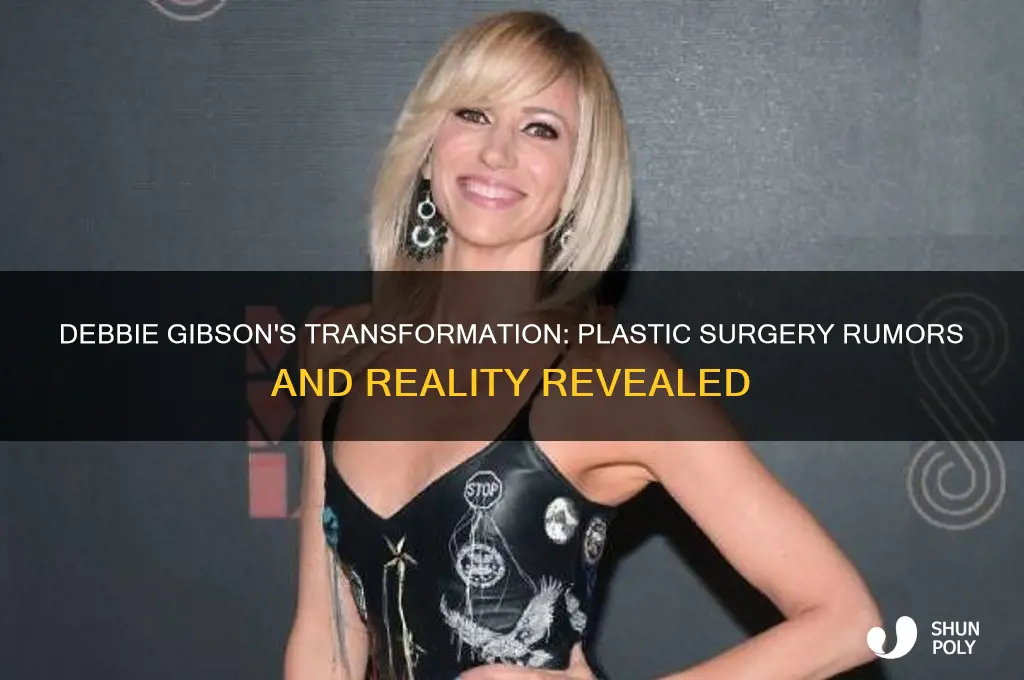 did debbie gibson have plastic surgery