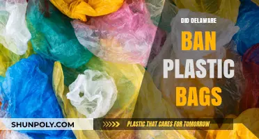 Delaware's Plastic Bag Ban: What You Need to Know