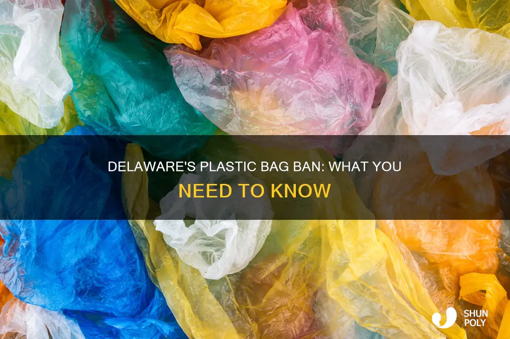 did delaware ban plastic bags