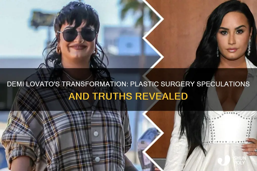 did demi lovato get plastic surgery