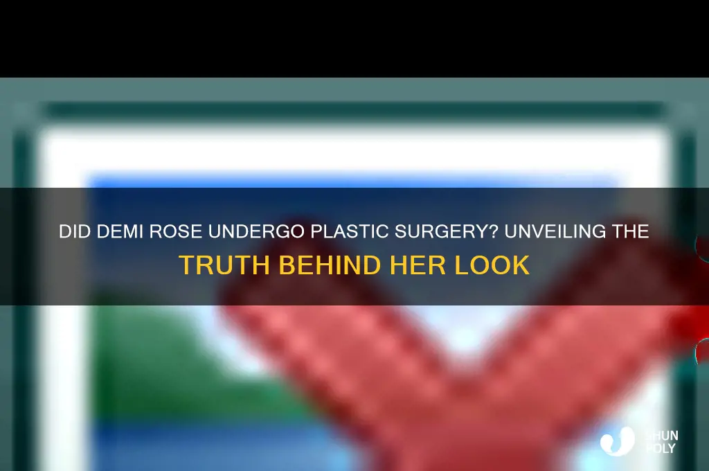 did demi rose get plastic sugery