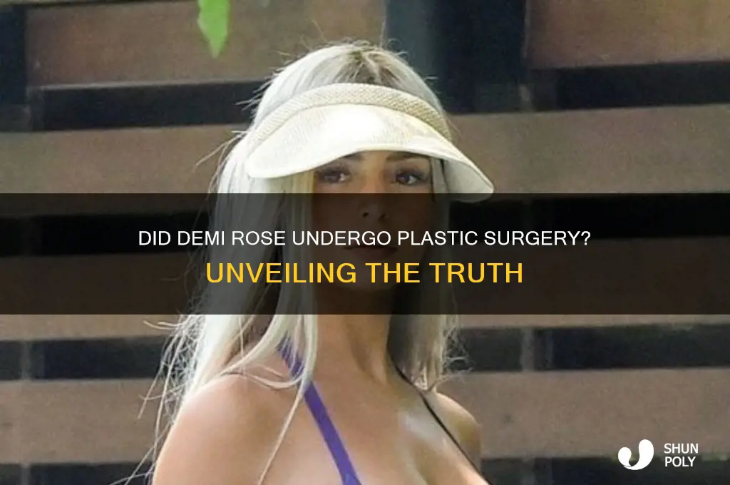 did demi rose get plastic surgery