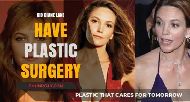 Diane Lane's Ageless Beauty: Plastic Surgery Rumors Explored
