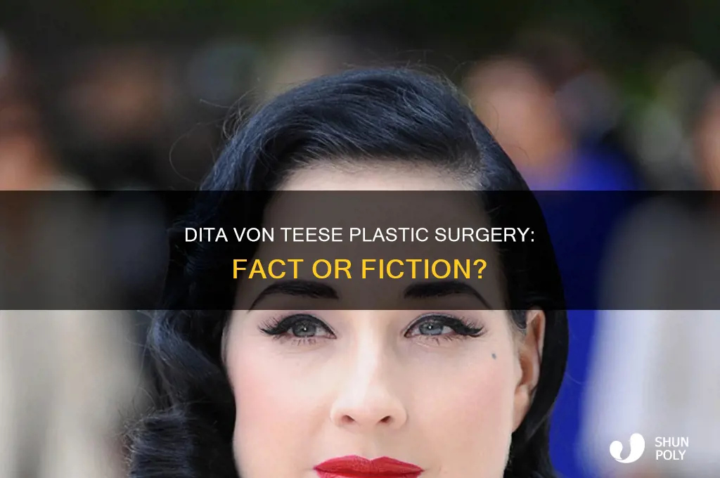 did dita von teese had plastic surgery