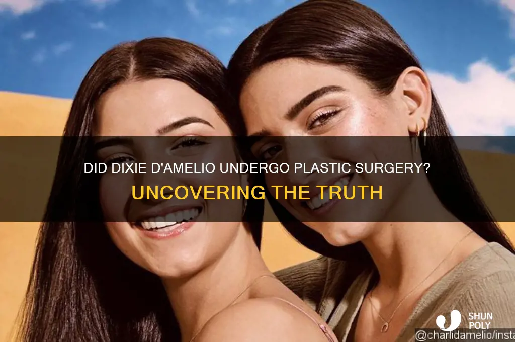 did dixie damelio get plastic surgery