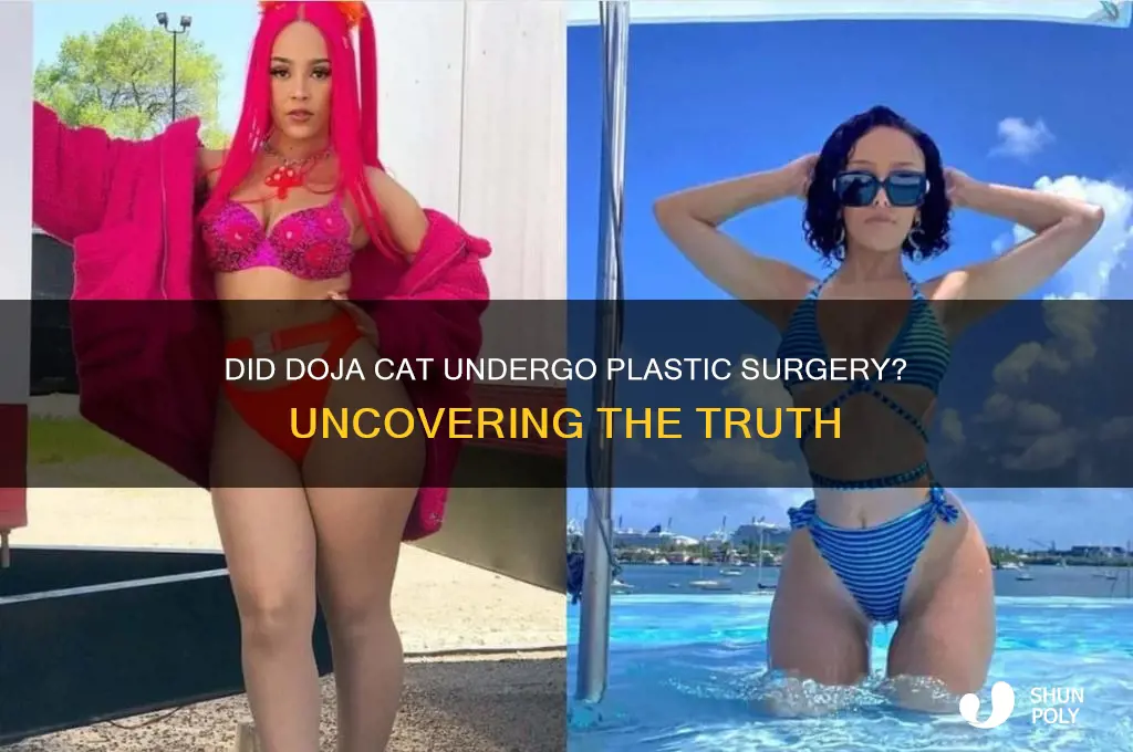 did doja cat do plastic surgery