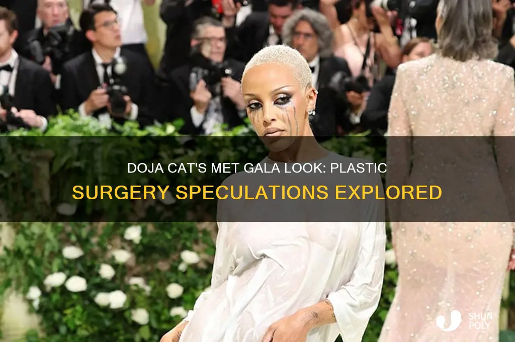 did doja cat get plastic surgery for the met gala