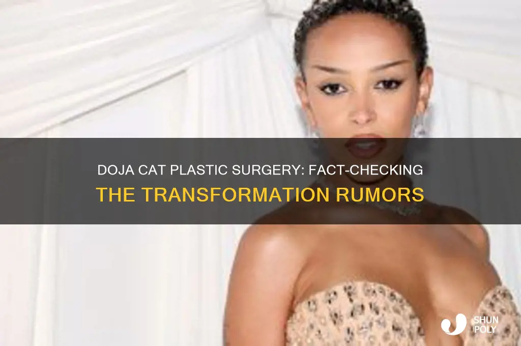 did doja cat get plastic surgery