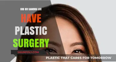 Dr. Sandra Lee Plastic Surgery: Fact-Checking the Speculations and Rumors