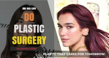Dua Lipa Plastic Surgery Rumors: Fact or Fiction?