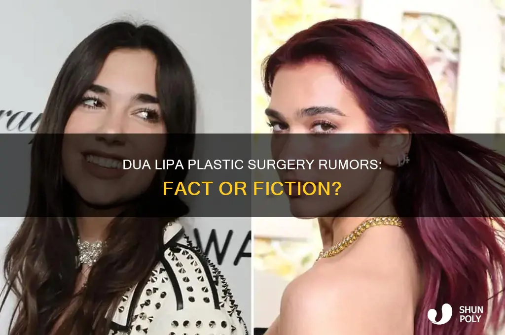 did dua lipa do plastic surgery