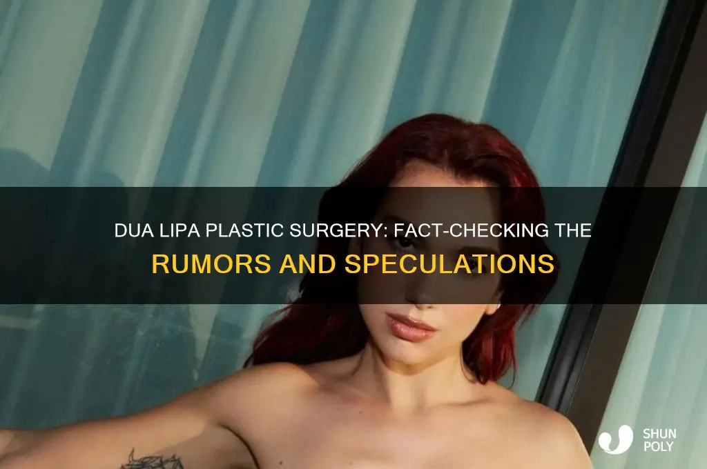 did dua lipa get plastic surgery