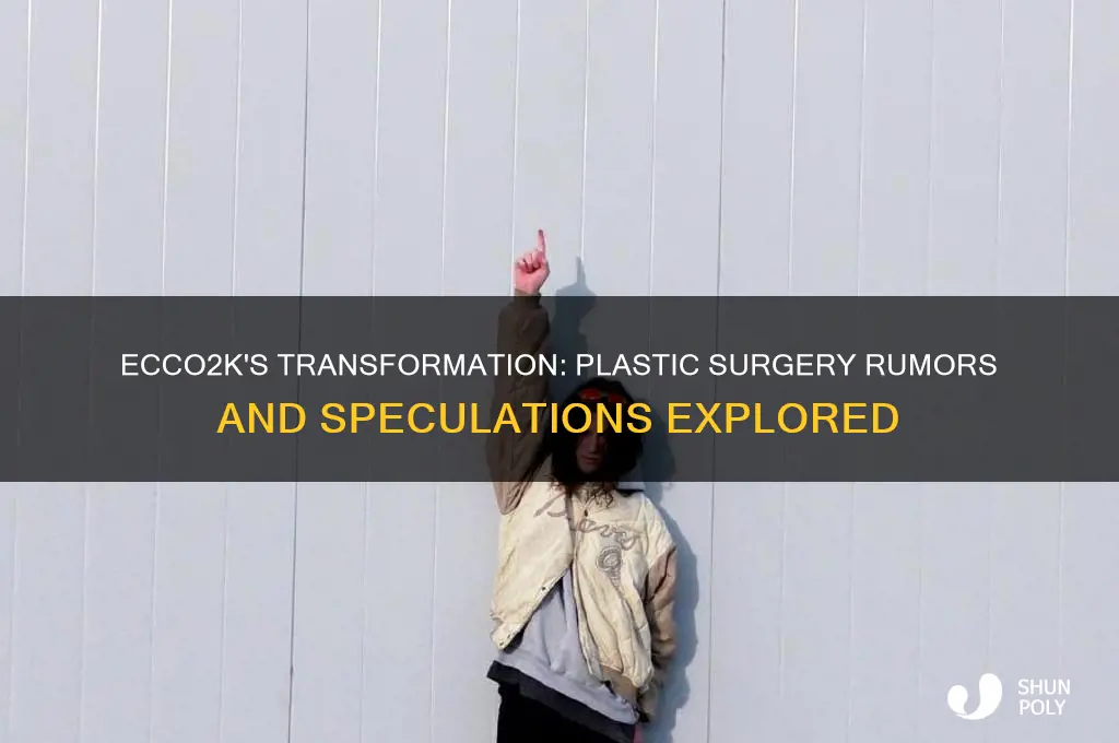 did ecco2k get plastic surgery