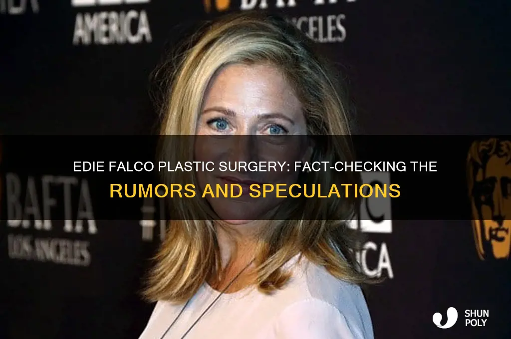 did edie falco have plastic surgery