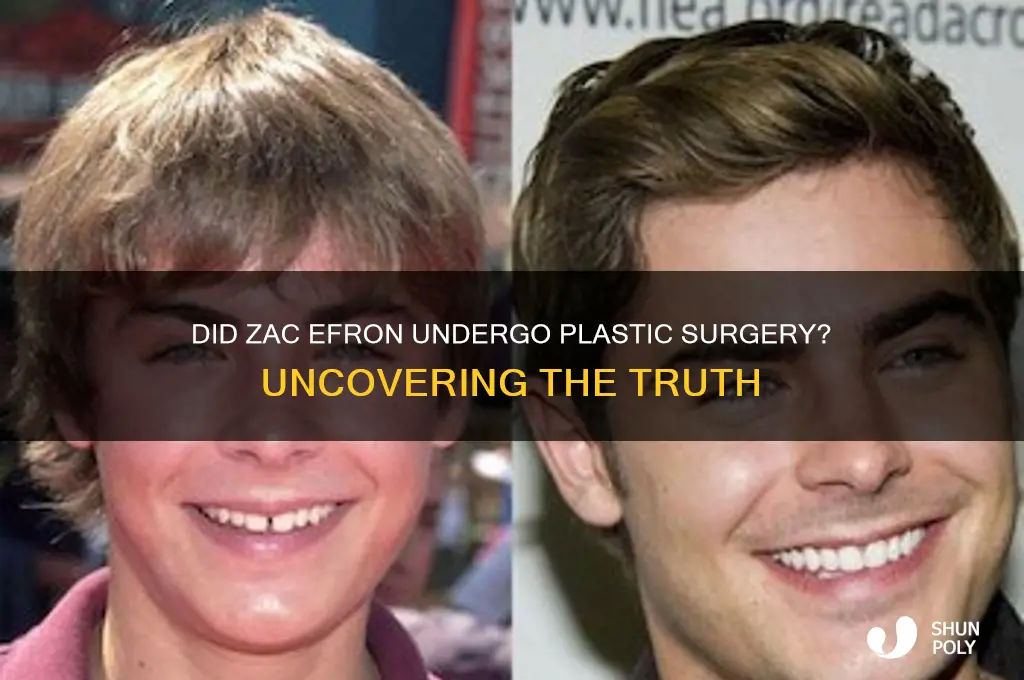 did efron have plastic surgery