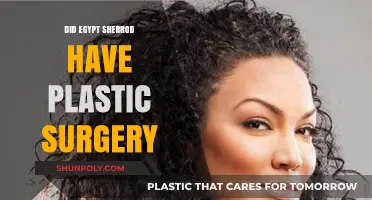 Egypt Sherrod's Transformation: Plastic Surgery Speculations and Truths Revealed