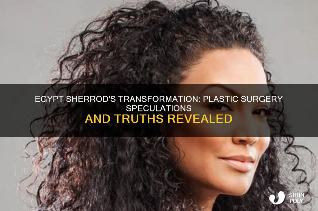did egypt sherrod have plastic surgery