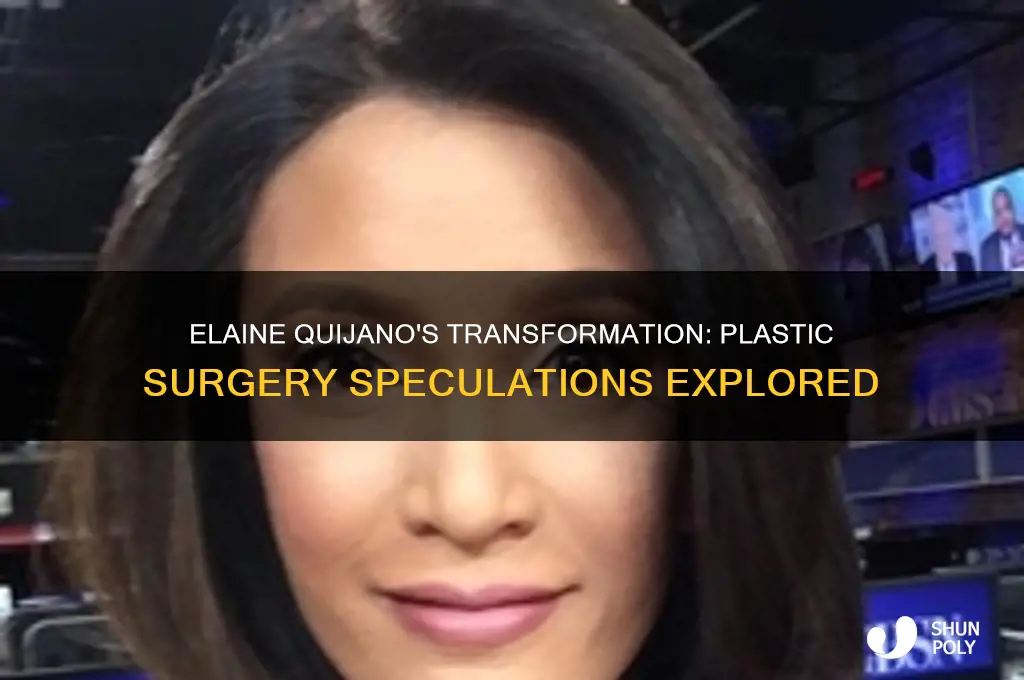 did elaine quijano get plastic surger