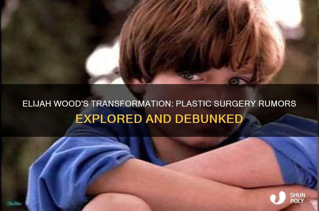 did elijah wood have plastic surgery