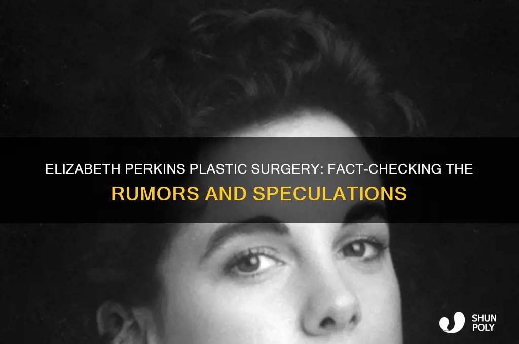 did elizabeth perkins have plastic surgery