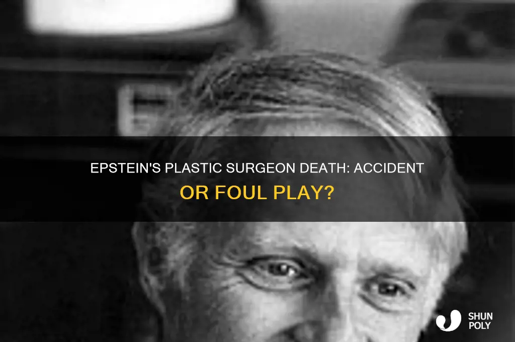 did epstein s plastic surgeon get killed