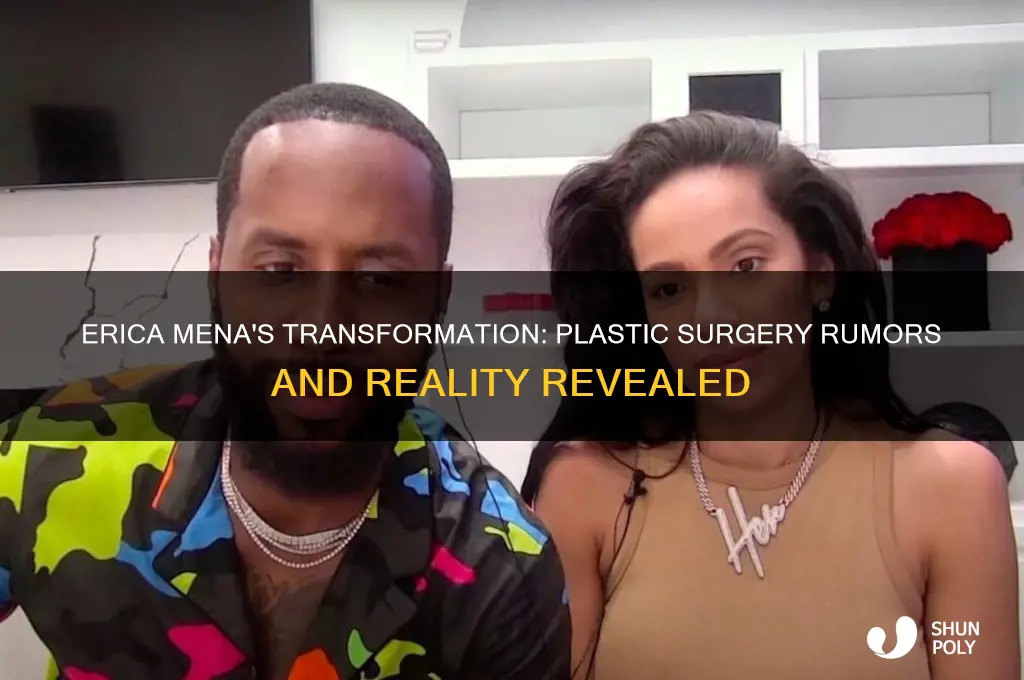 did erica mena get plastic surgery