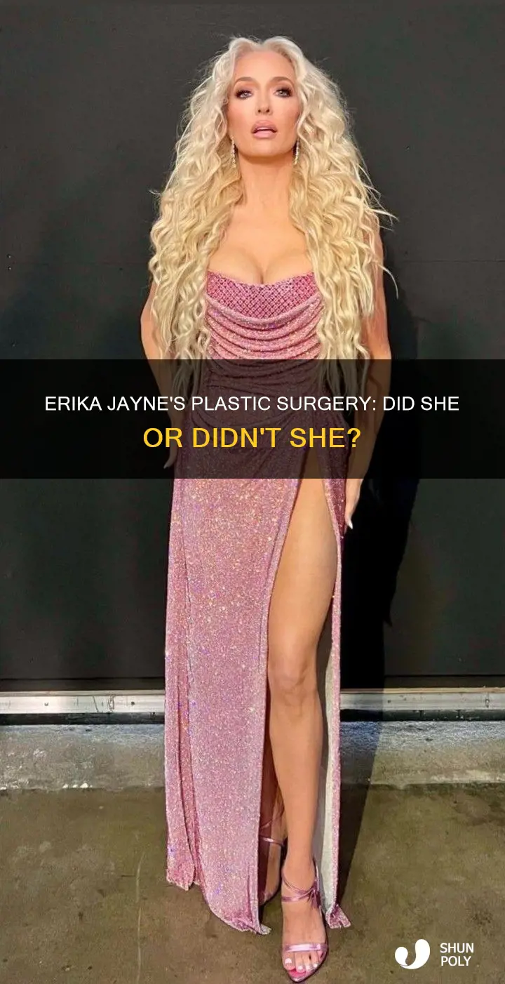 did erika jayne have plastic surger