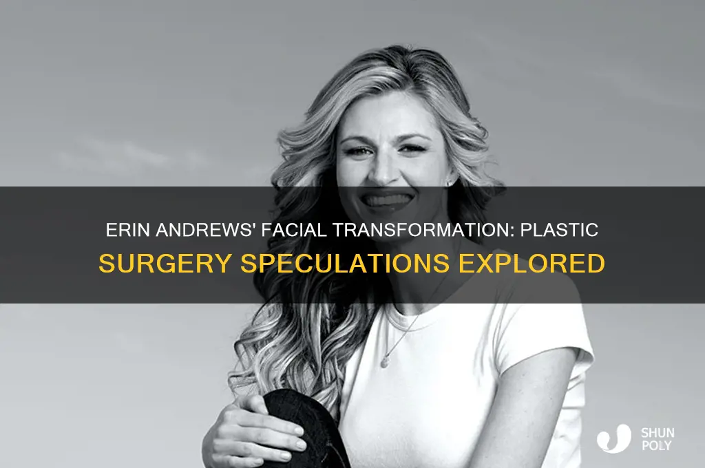 did erin andrews have plastic surgery on her face